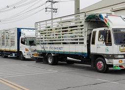 รถรับจ้าง ชลบุรี